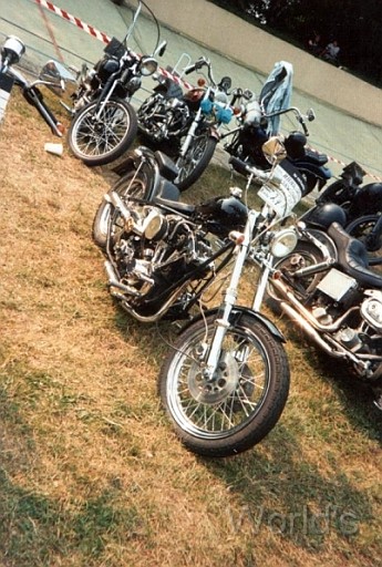 OnRoad 006.jpg